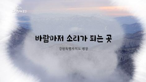 [로컬여행, 오! 정해보고] 15회 강원특별자치도 평창군 편